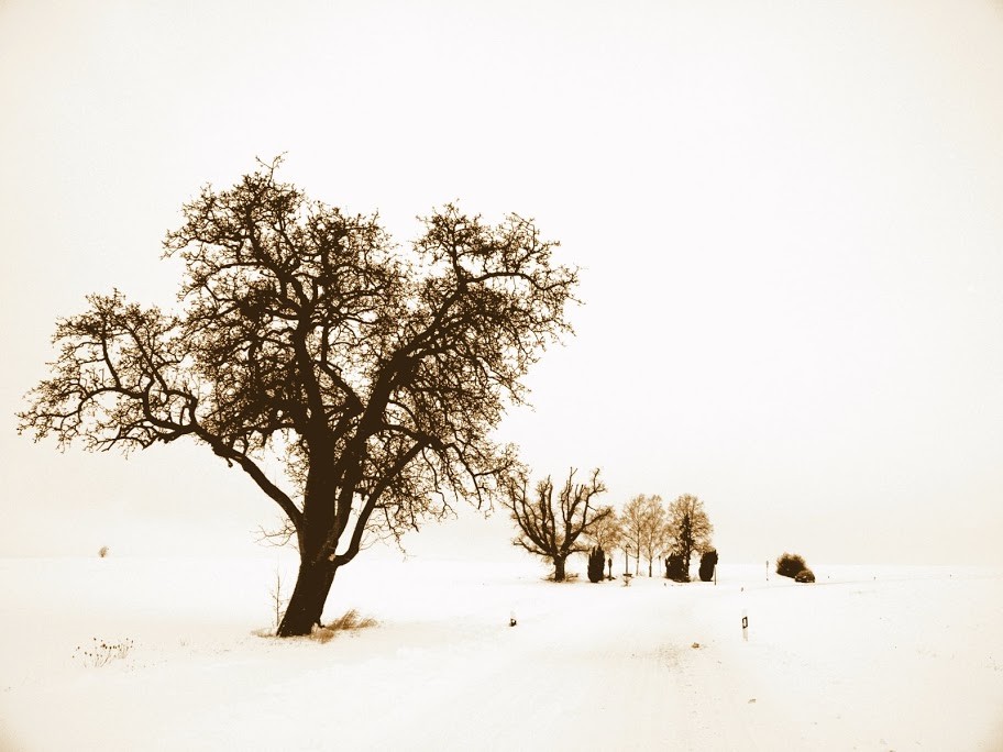 Winter